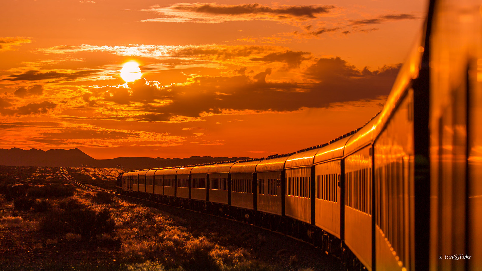 namibia railway safari
